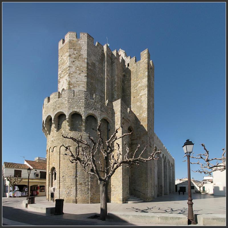 فيلا Beauvoisin في Camargue المظهر الخارجي الصورة