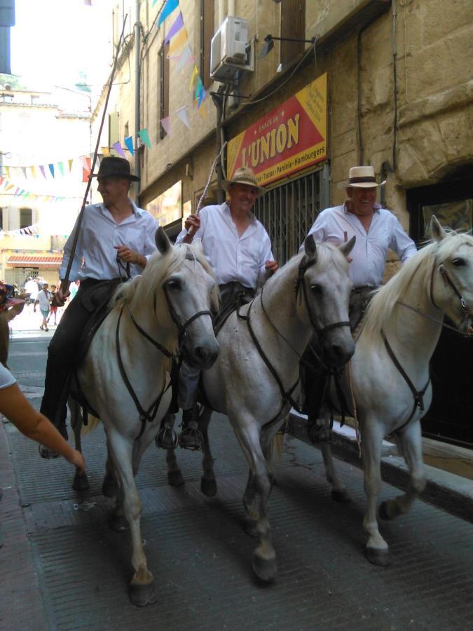 فيلا Beauvoisin في Camargue المظهر الخارجي الصورة